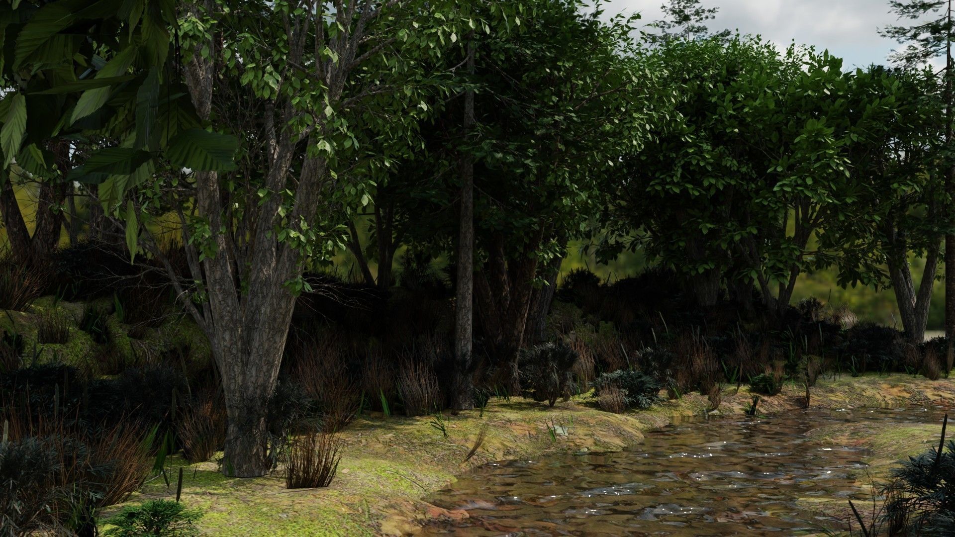 river in woods 3D model_4