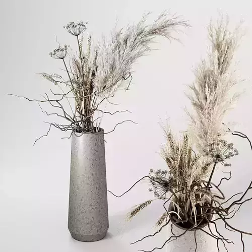 Dried Plants Bouquet in Vase