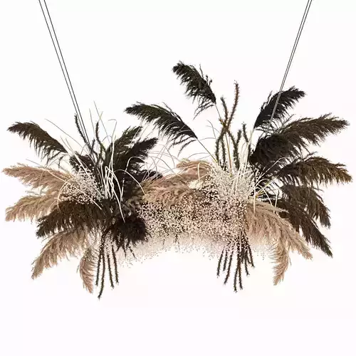 Hanging decor of their dried pampas grass 214