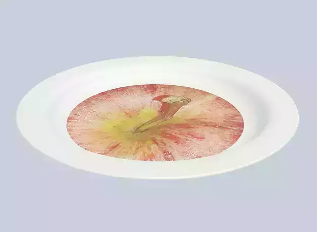 Astonishing Dinner Plate Low-poly 3D model