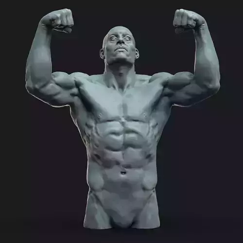 Male pose 01 3D print model