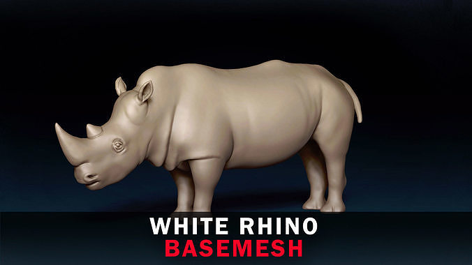 White Rhino Base Mesh 3D model