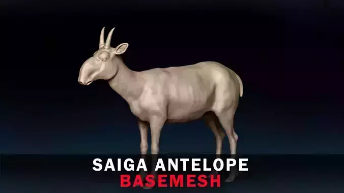 Saiga Antelope Base Mesh 3D model