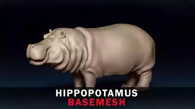 Hippopotamus Base Mesh 3D model