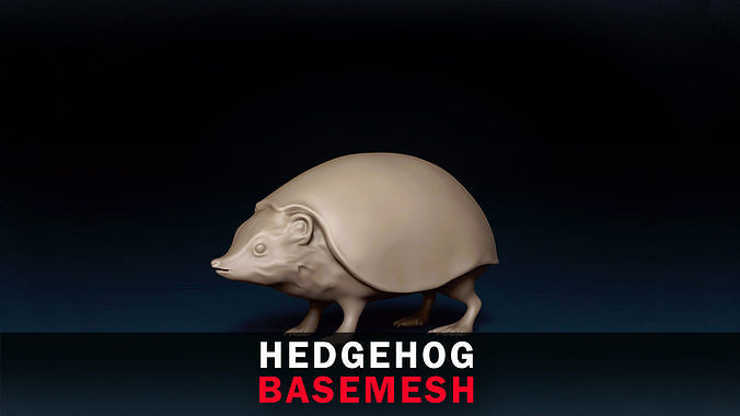Hedgehog Base Mesh 3D model