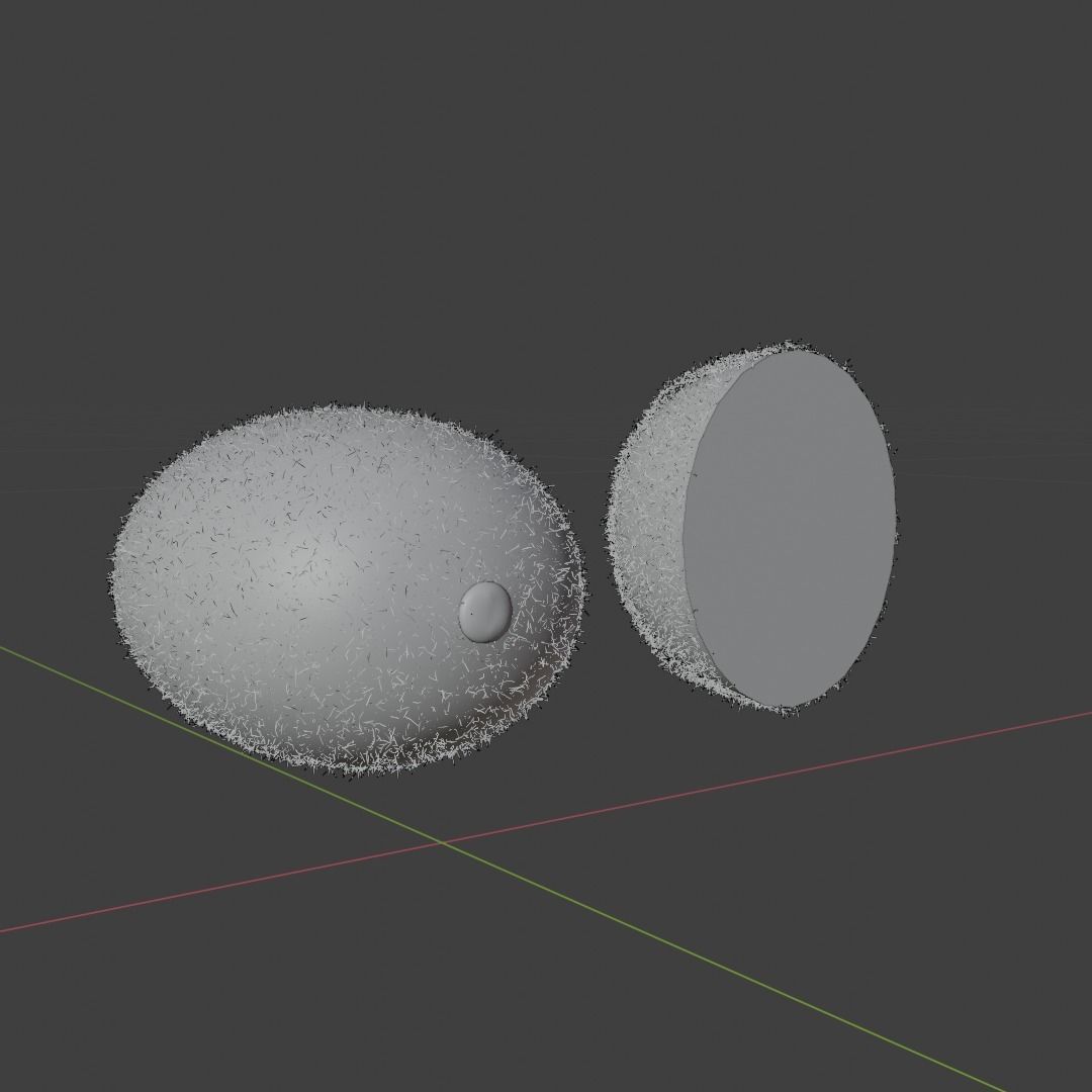 Kiwi Fruit Model Set Low-poly 3D model_3