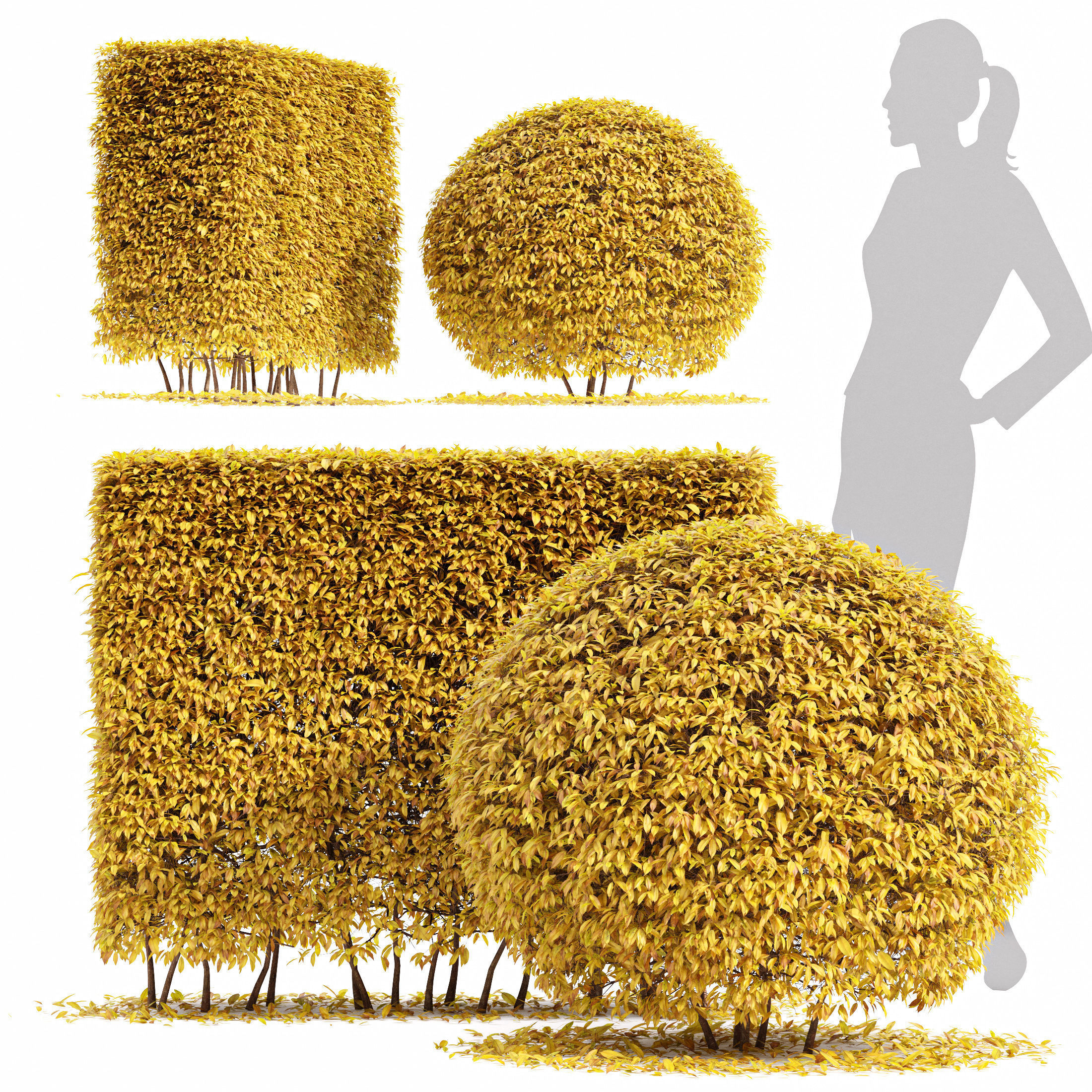 11 Dieffrent bush Models in One Pak 007 3D model 3D model_8