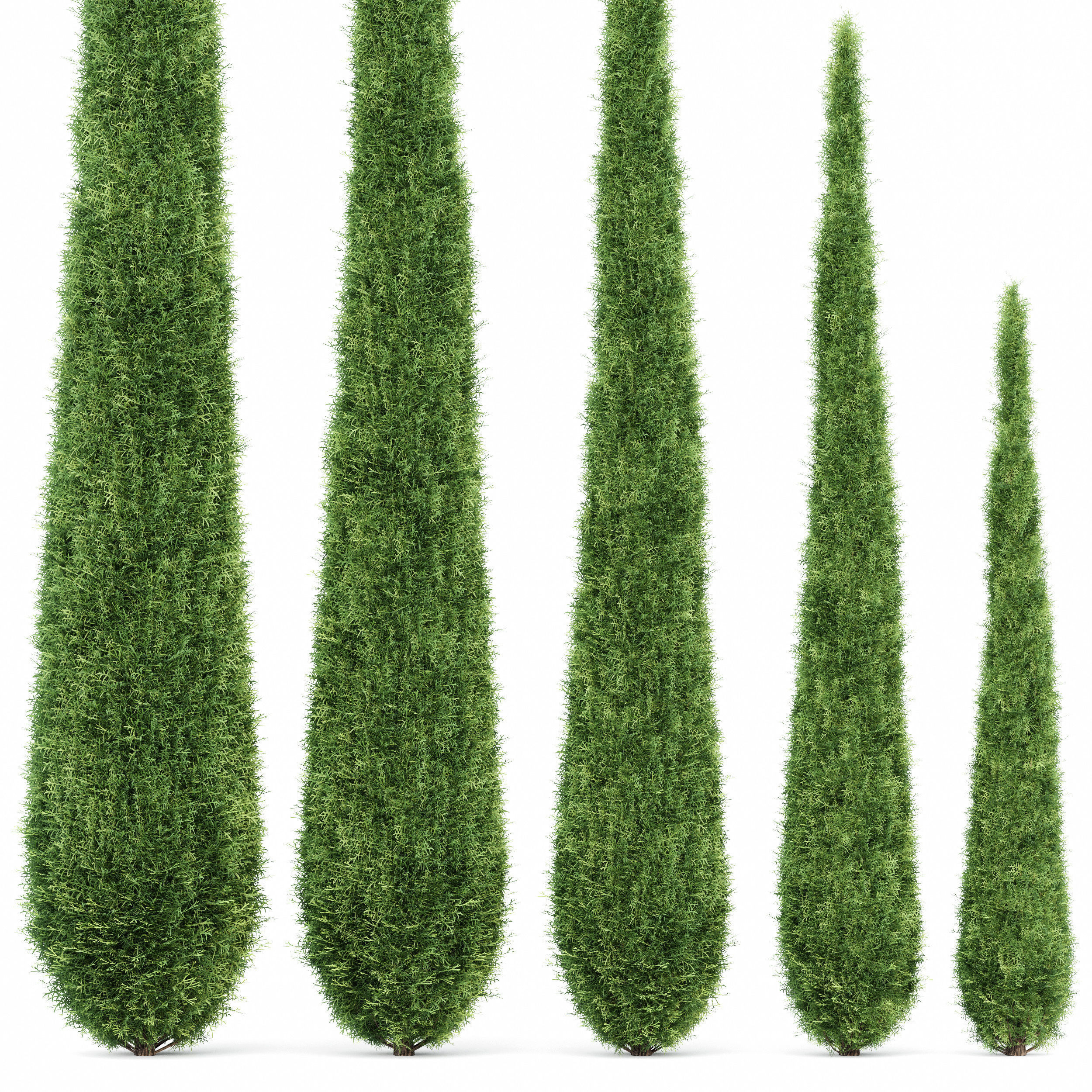 11 Dieffrent bush Models in One Pak 007 3D model 3D model_31