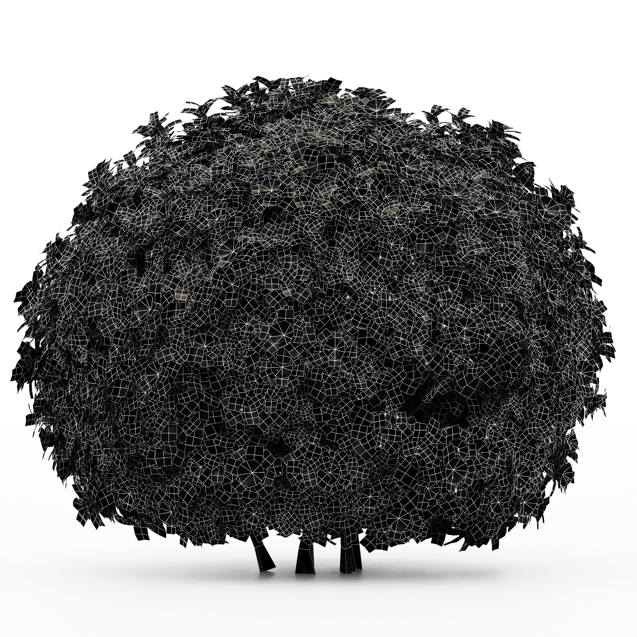 11 Dieffrent bush Models in One Pak 007 3D model 3D model_18