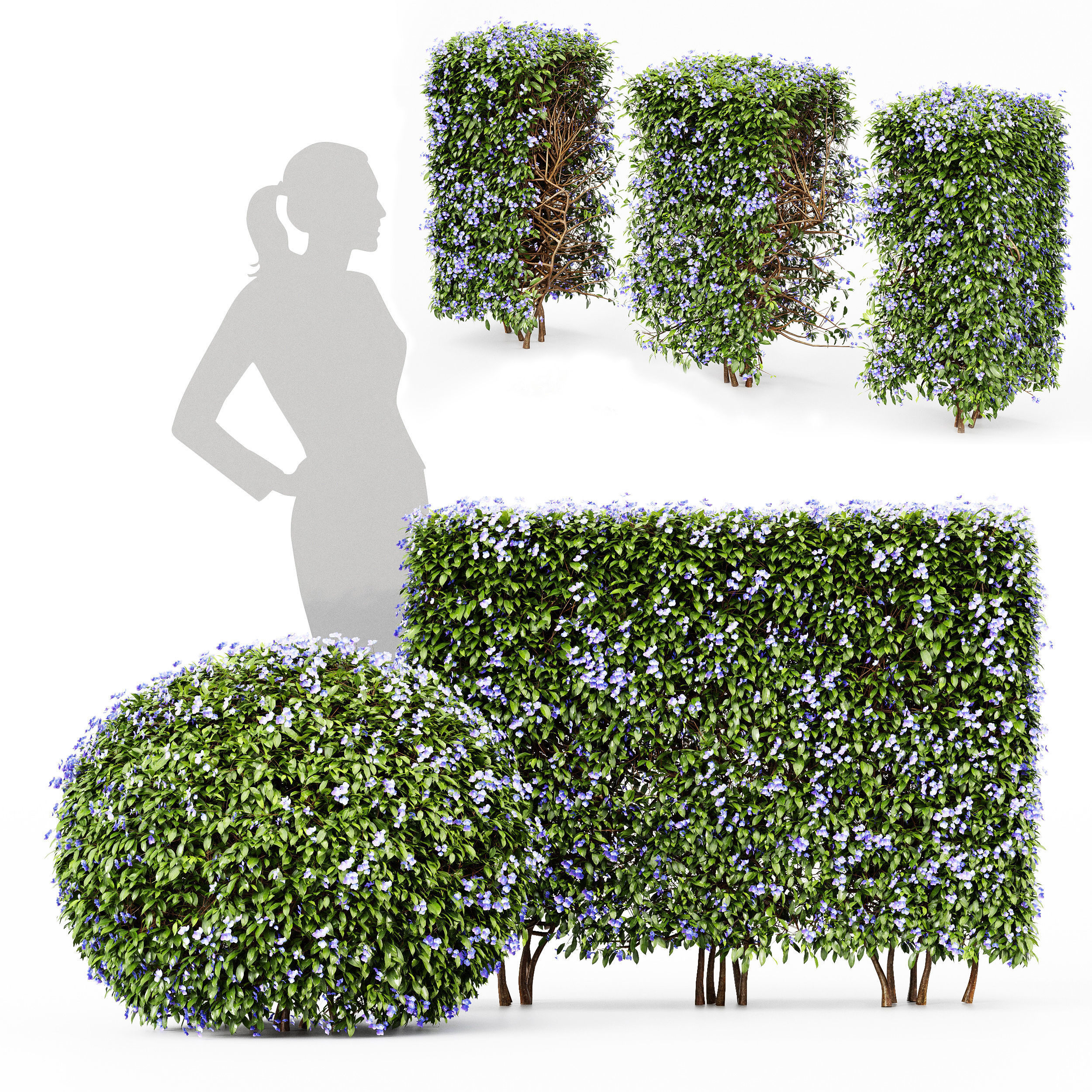 11 Dieffrent bush Models in One Pak 007 3D model 3D model_7