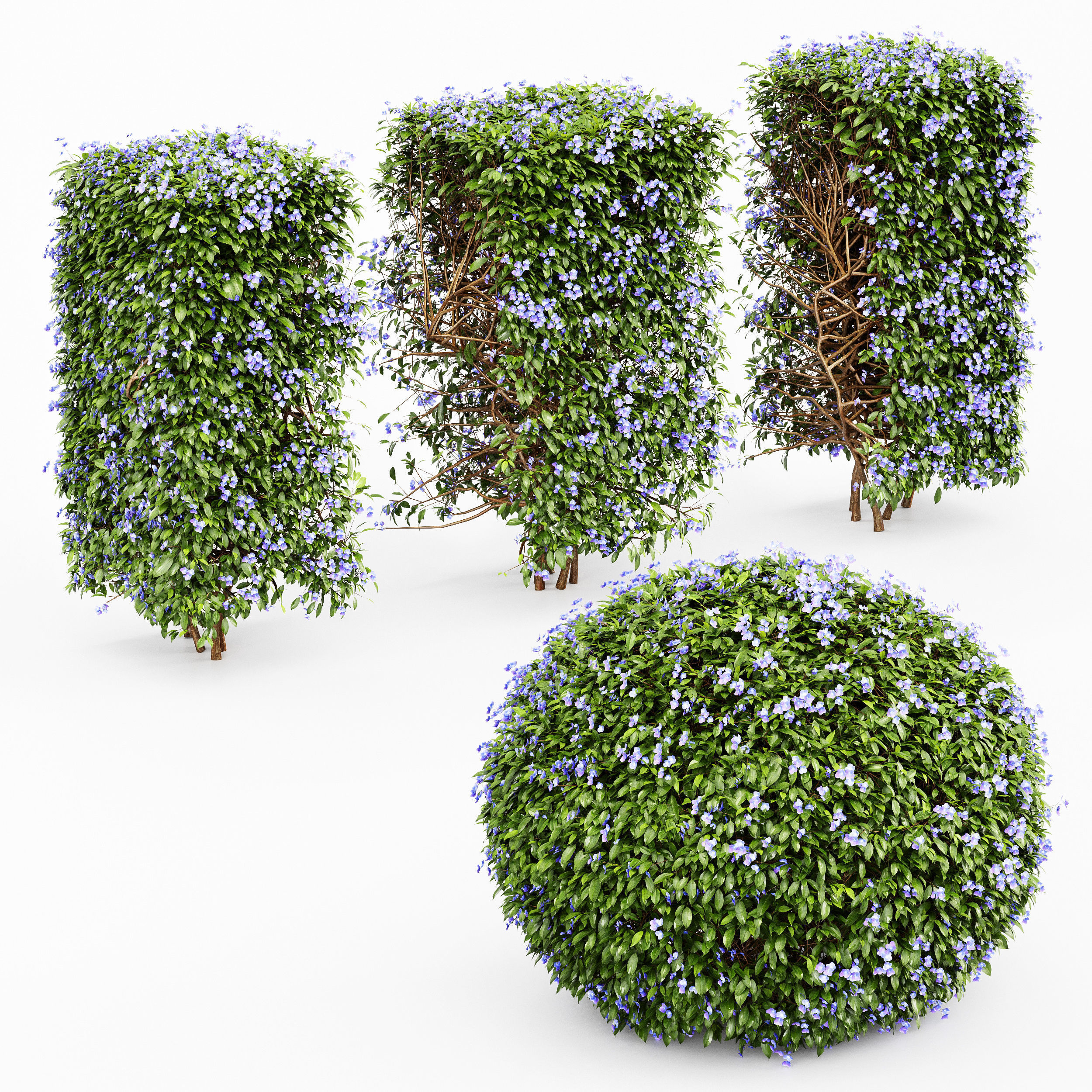 11 Dieffrent bush Models in One Pak 007 3D model 3D model_47