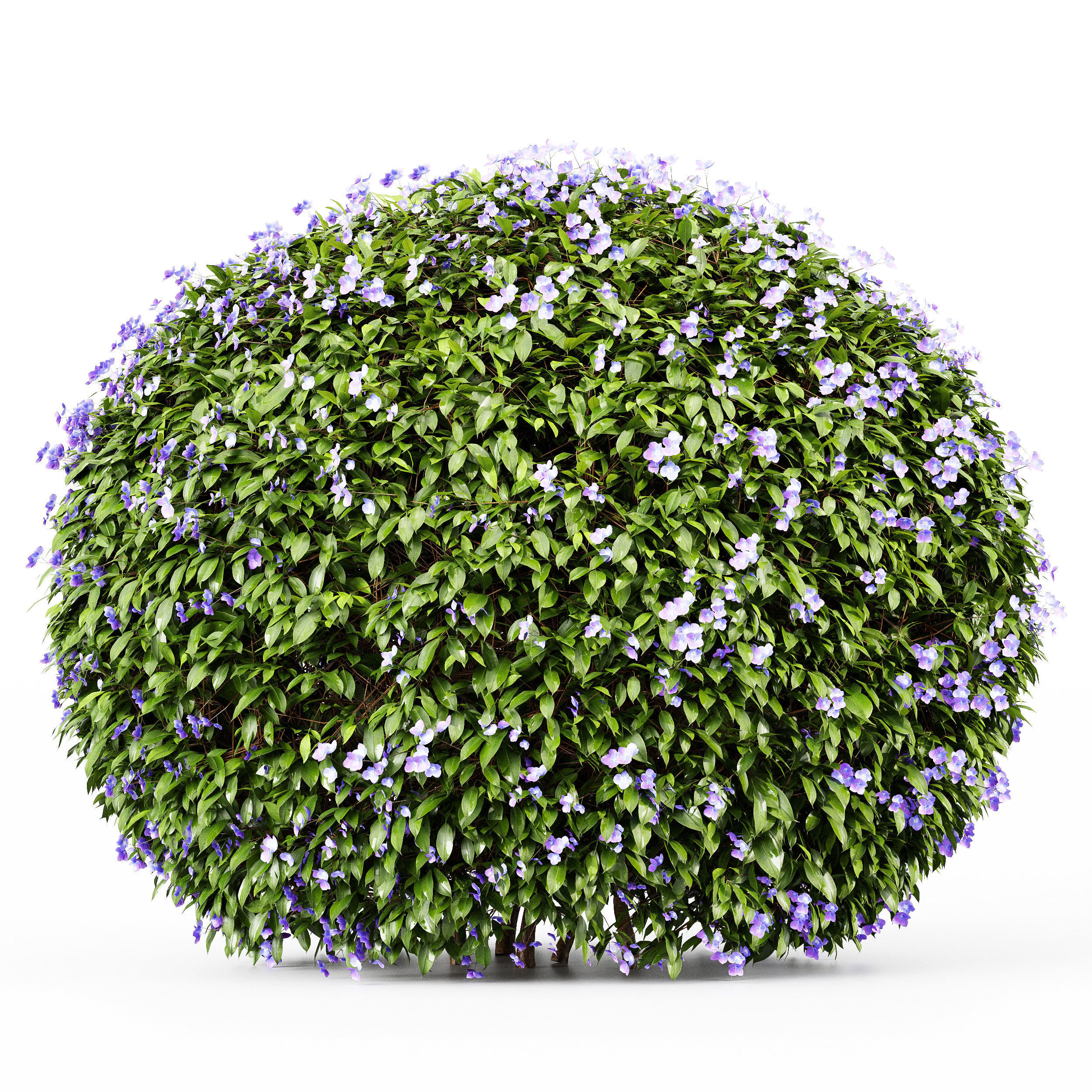 11 Dieffrent bush Models in One Pak 007 3D model 3D model_37