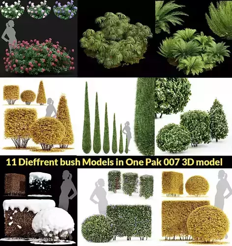 11 Dieffrent bush Models in One Pak 007 3D model