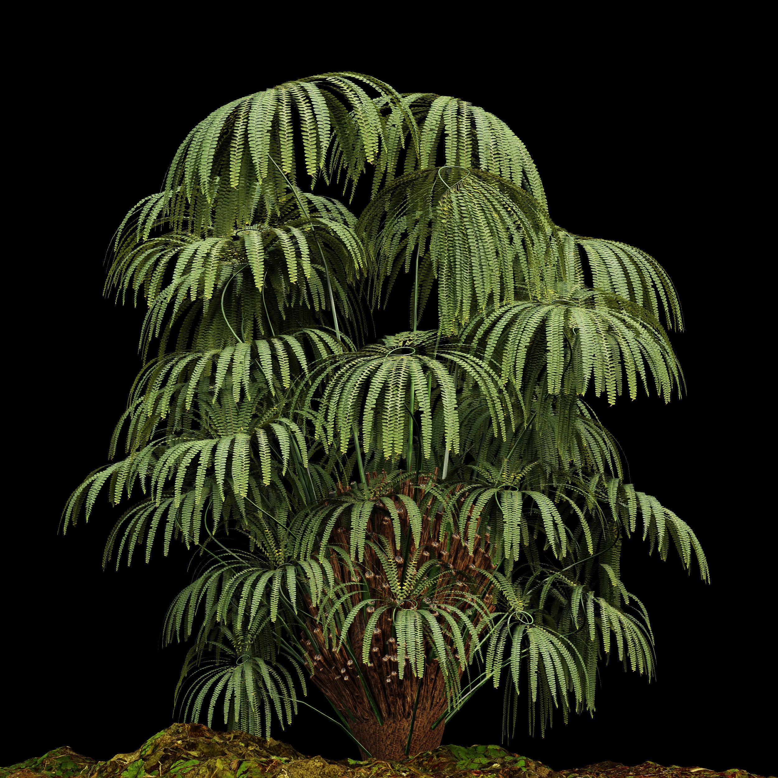 11 Dieffrent bush Models in One Pak 007 3D model 3D model_50