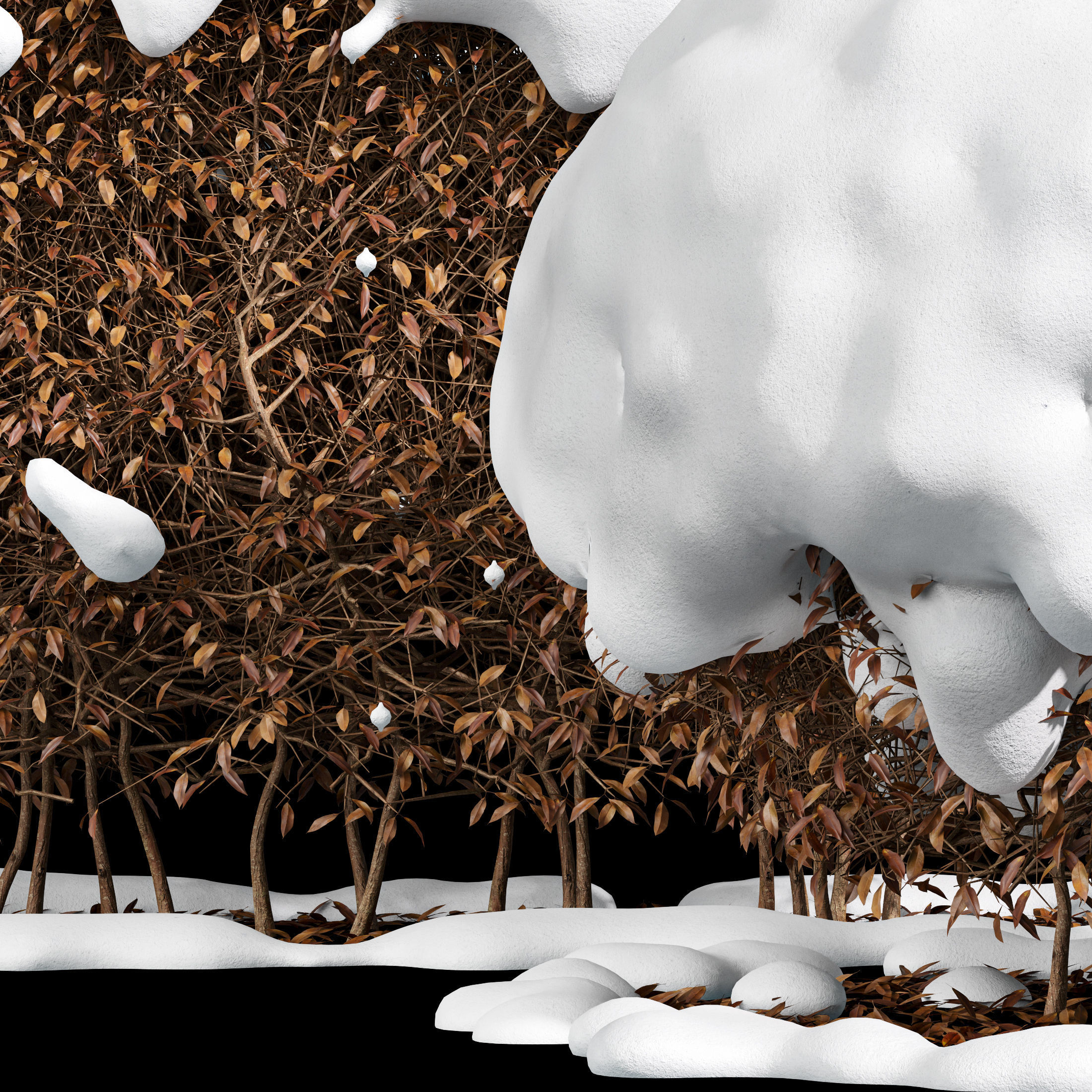 11 Dieffrent bush Models in One Pak 007 3D model 3D model_49