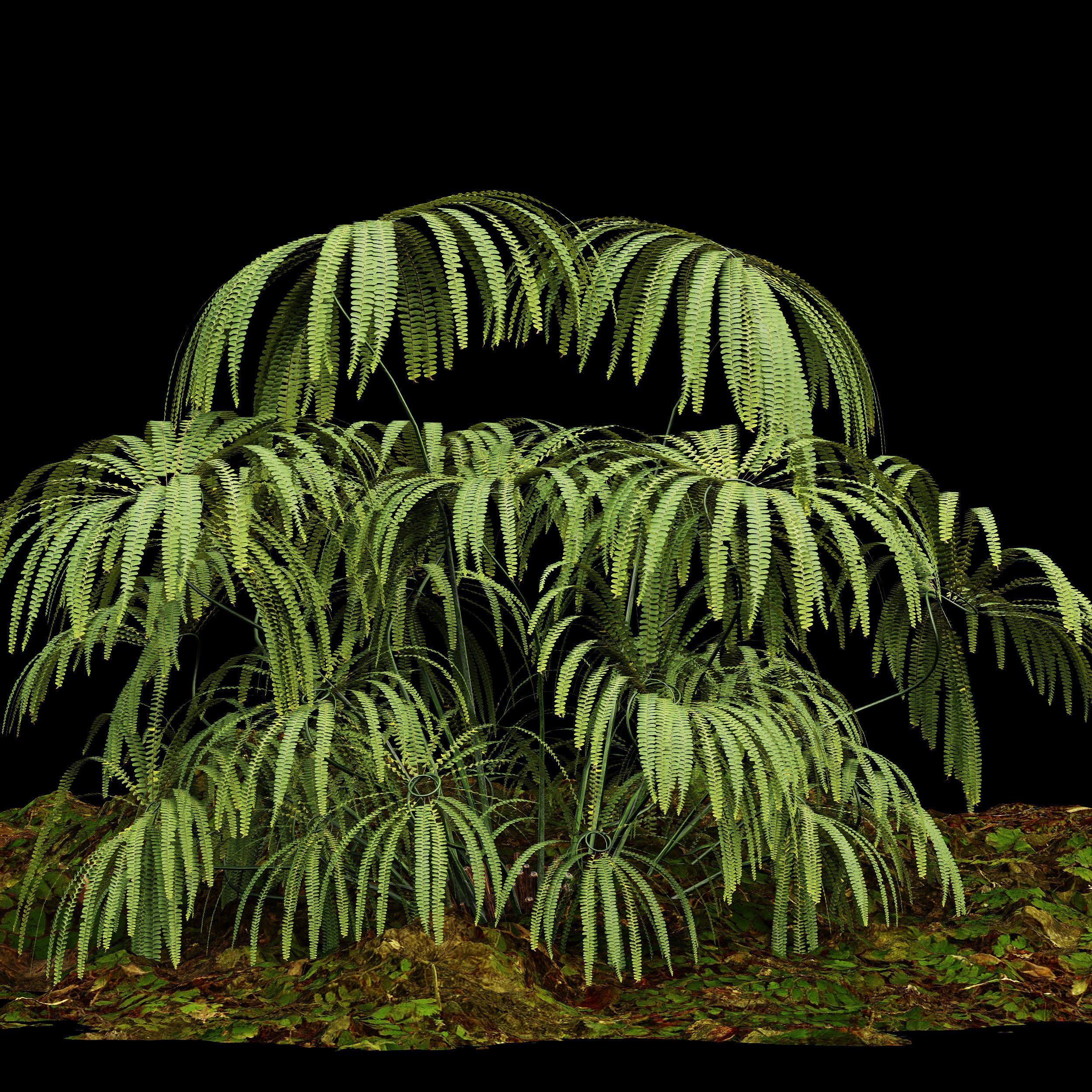 11 Dieffrent bush Models in One Pak 007 3D model 3D model_46