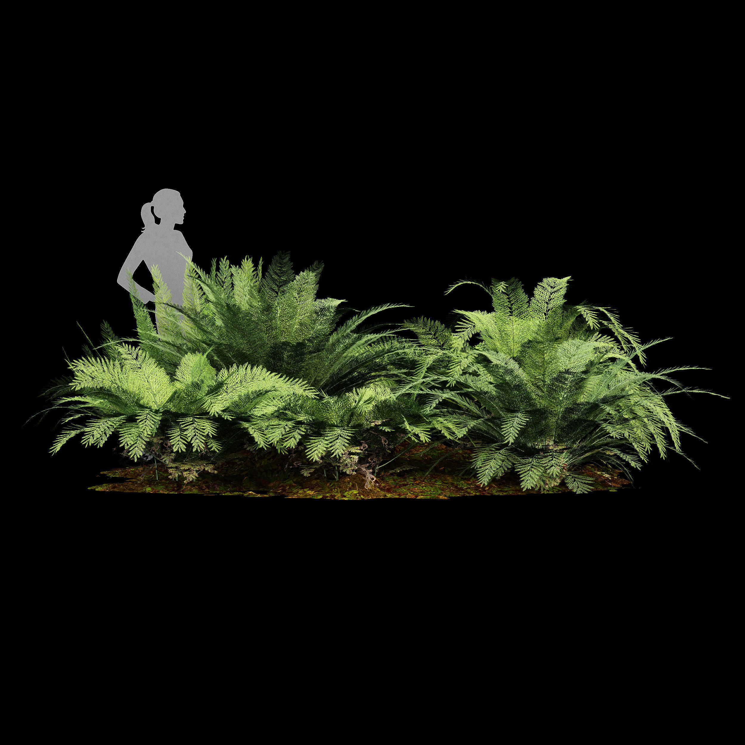 11 Dieffrent bush Models in One Pak 007 3D model 3D model_52