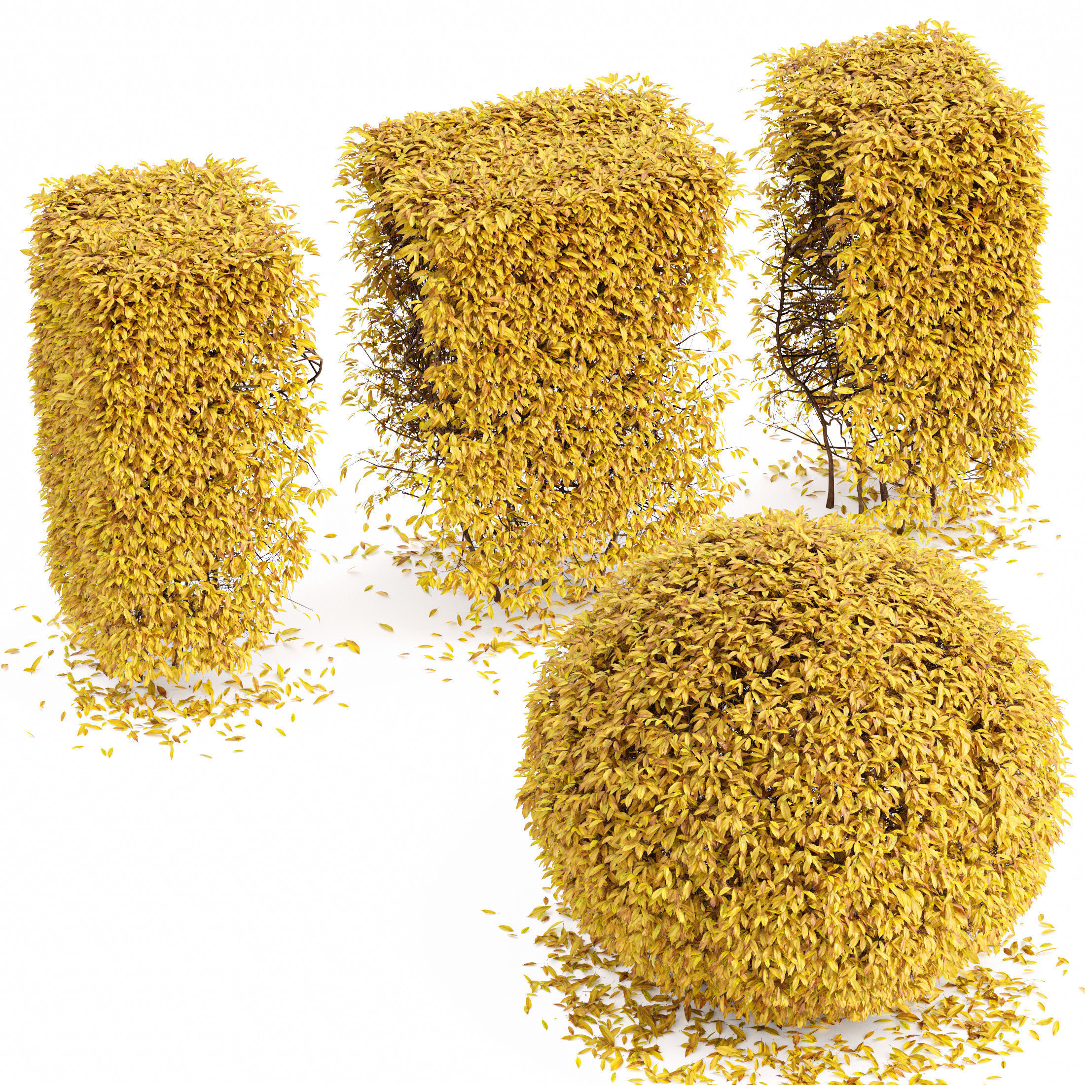 11 Dieffrent bush Models in One Pak 007 3D model 3D model_35