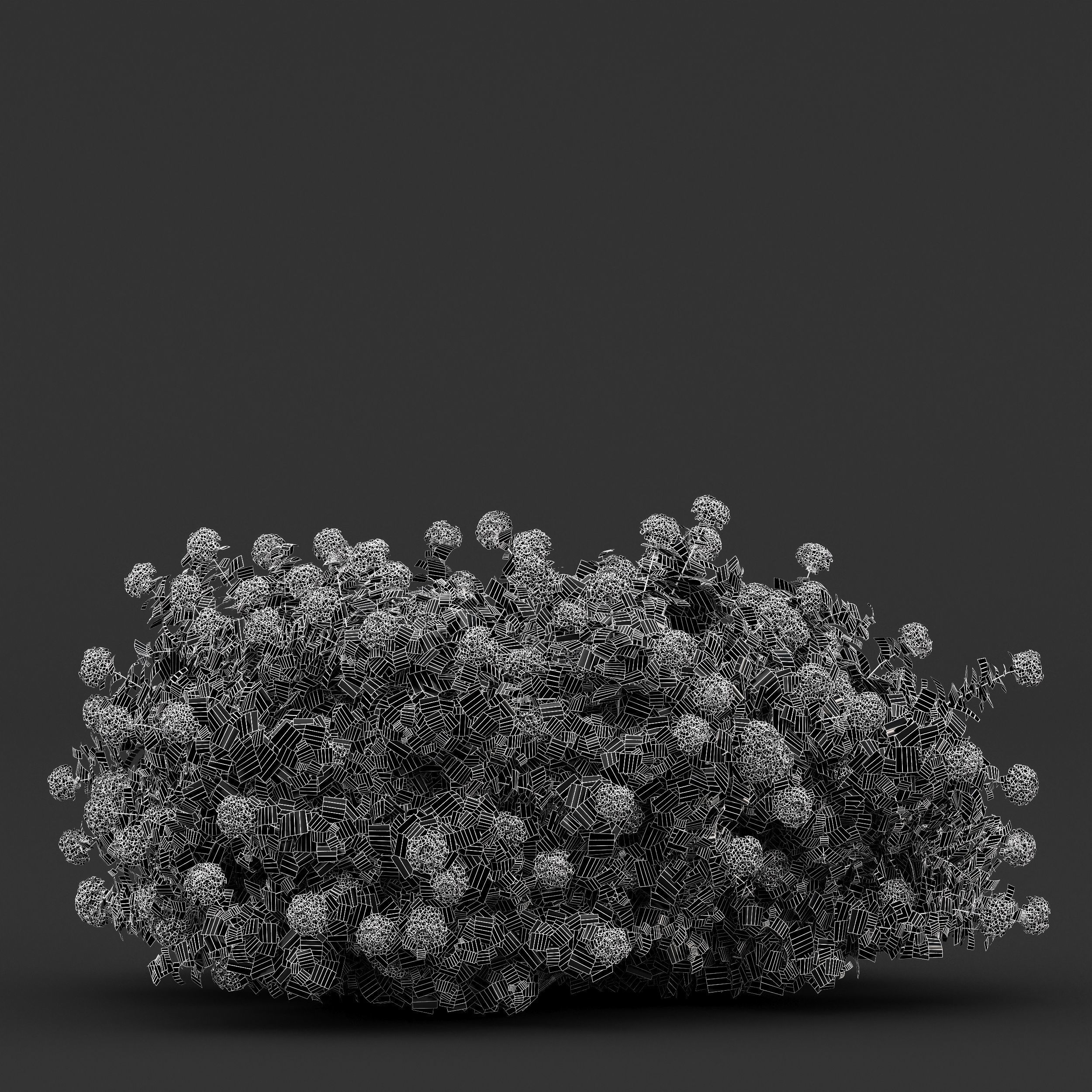 11 Dieffrent bush Models in One Pak 007 3D model 3D model_25