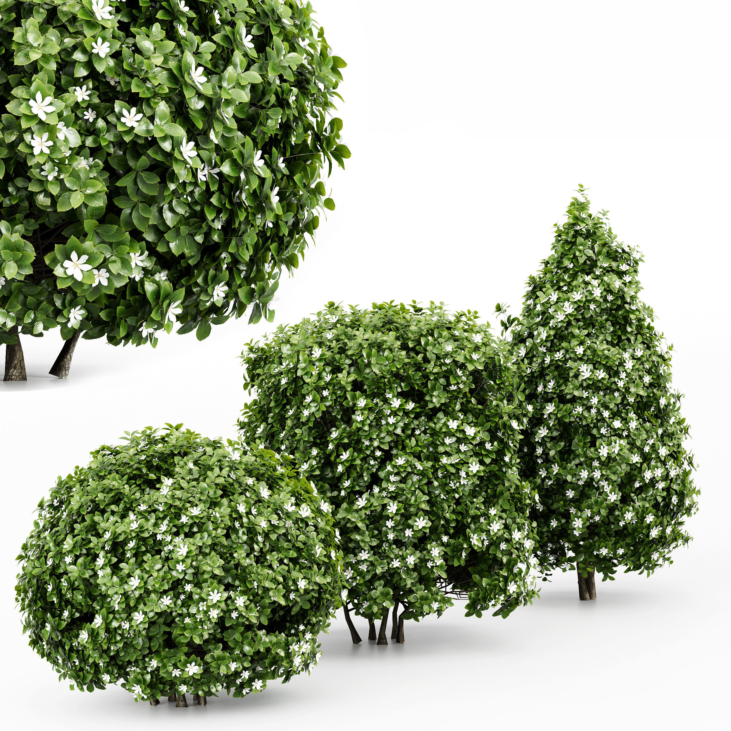 11 Dieffrent bush Models in One Pak 007 3D model 3D model_1