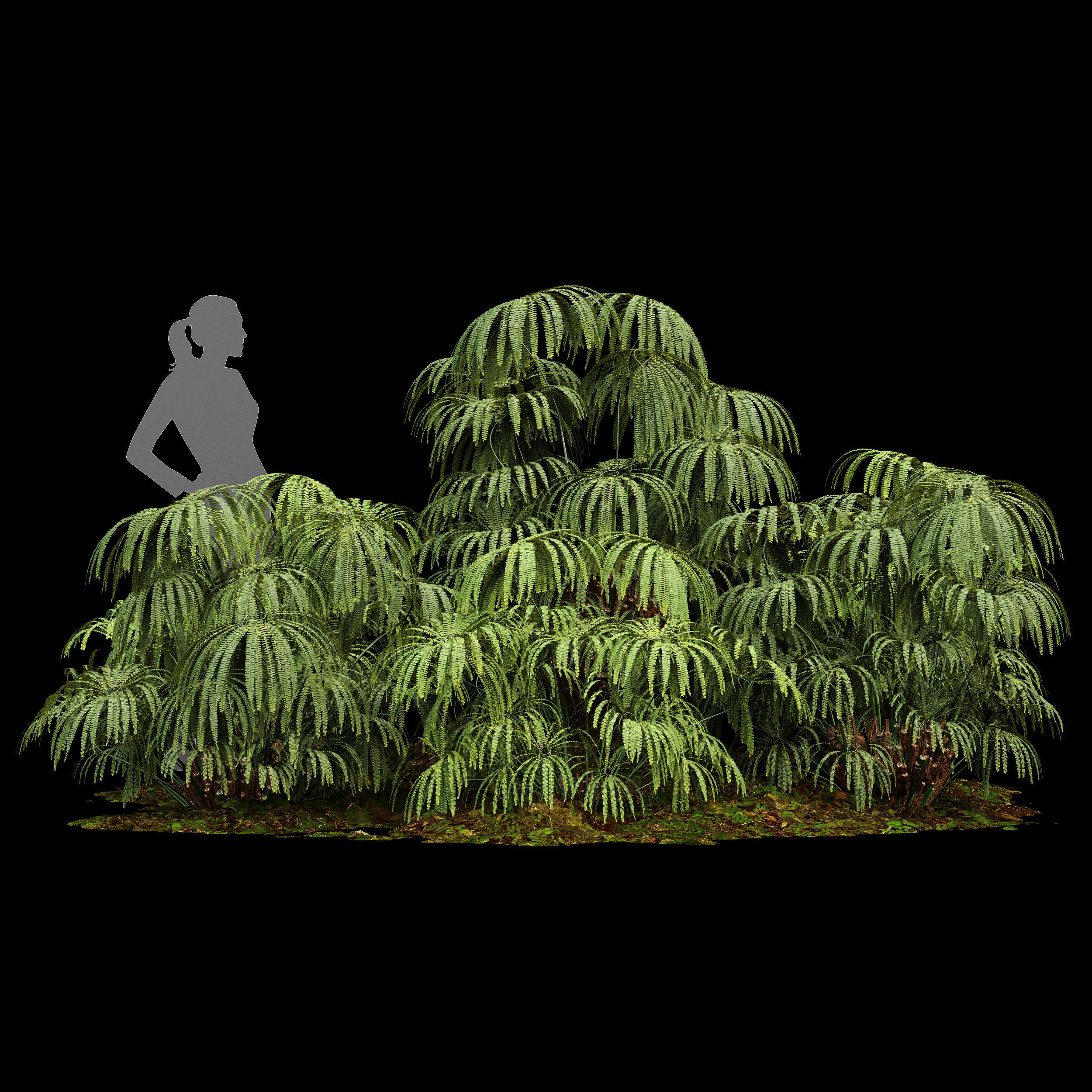 11 Dieffrent bush Models in One Pak 007 3D model 3D model_45