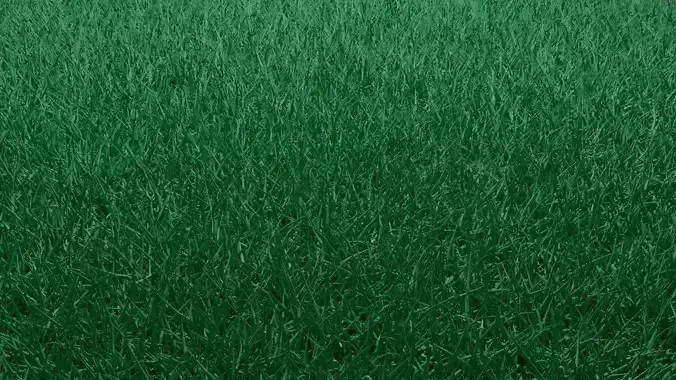 GRASS artificial - close