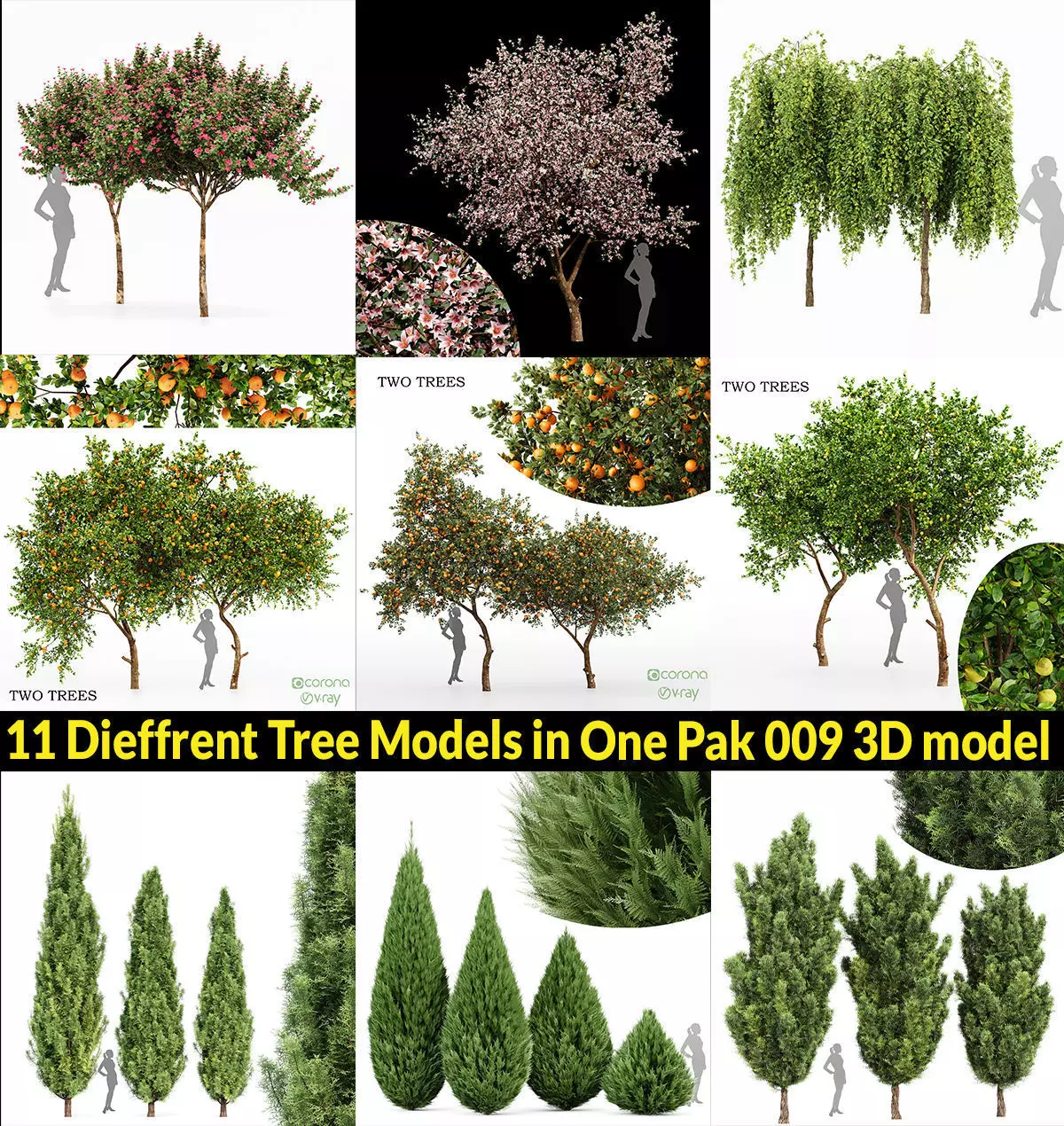 Different Tree Model 11 Dieffrent Tree Models in One Pak 009 3D model 3D model | CGTrader