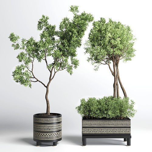 Collection Indoor plant 132 vase handmade pottery plant tree pot 3D model