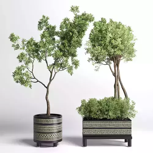 Collection Indoor plant 132 vase handmade pottery plant tree pot