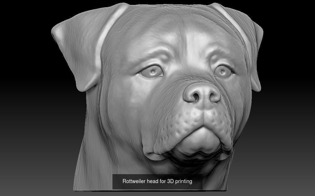 Dog heads collection for 3D printing _11