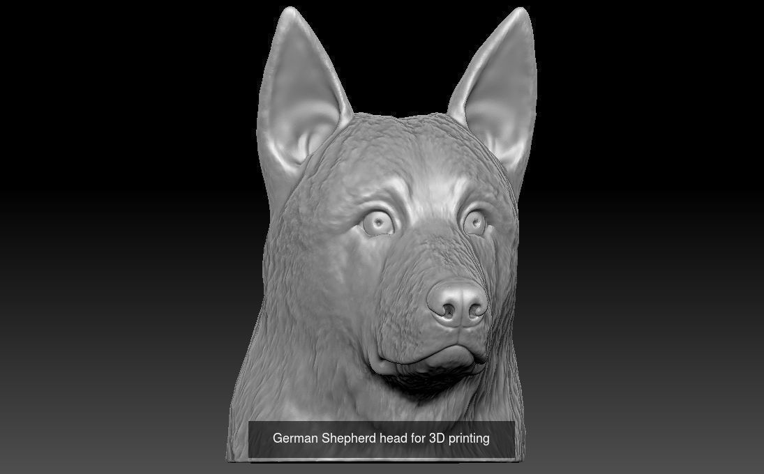 Dog heads collection for 3D printing _13