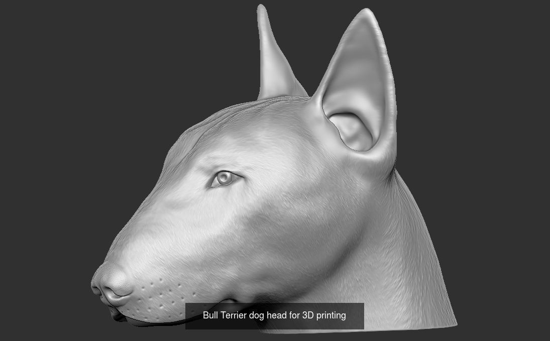 Dog heads collection for 3D printing _4