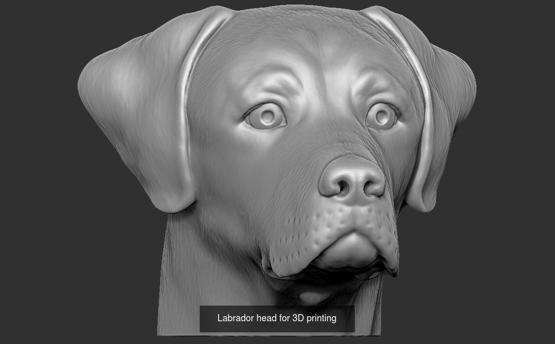 Dog heads collection for 3D printing _9