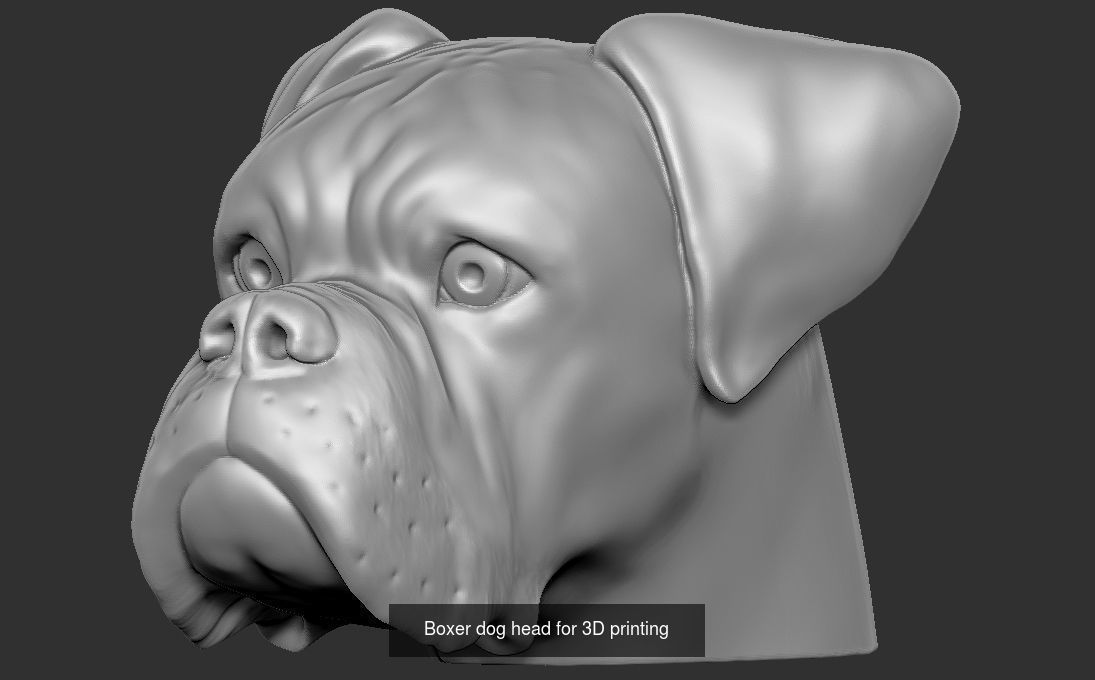 Dog heads collection for 3D printing _5