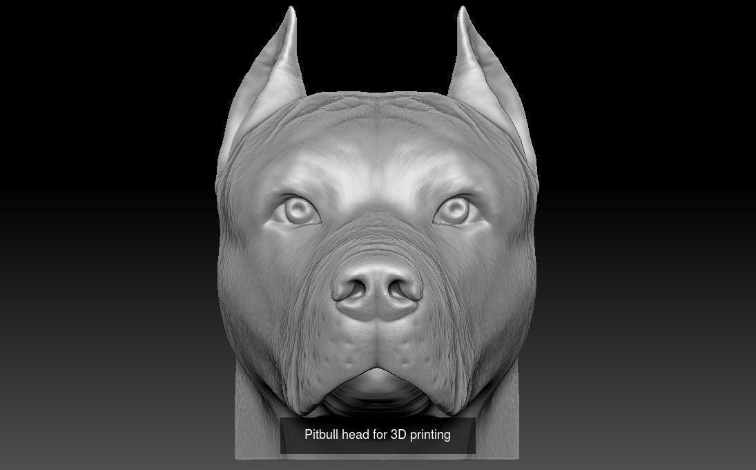 Dog heads collection for 3D printing _3