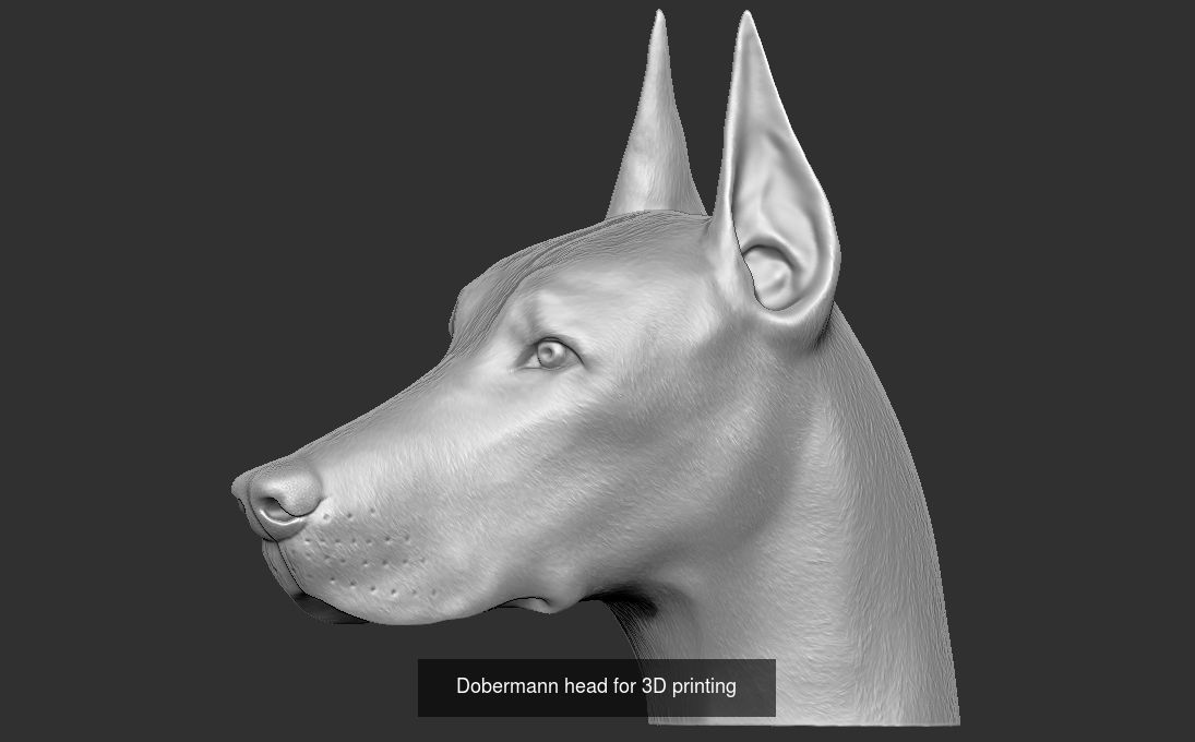 Dog heads collection for 3D printing _2