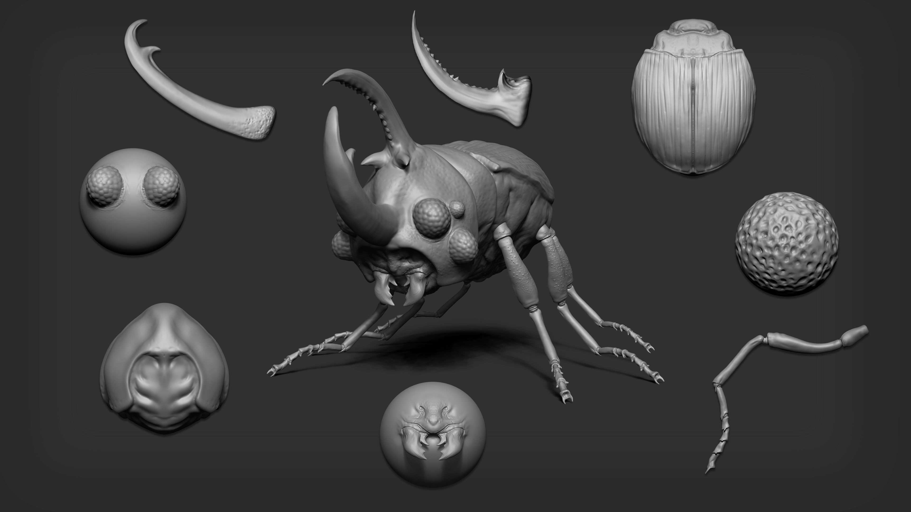 Zbrush  Blender - 80 Insectoid Creature Brush mega Pack 3D model_5