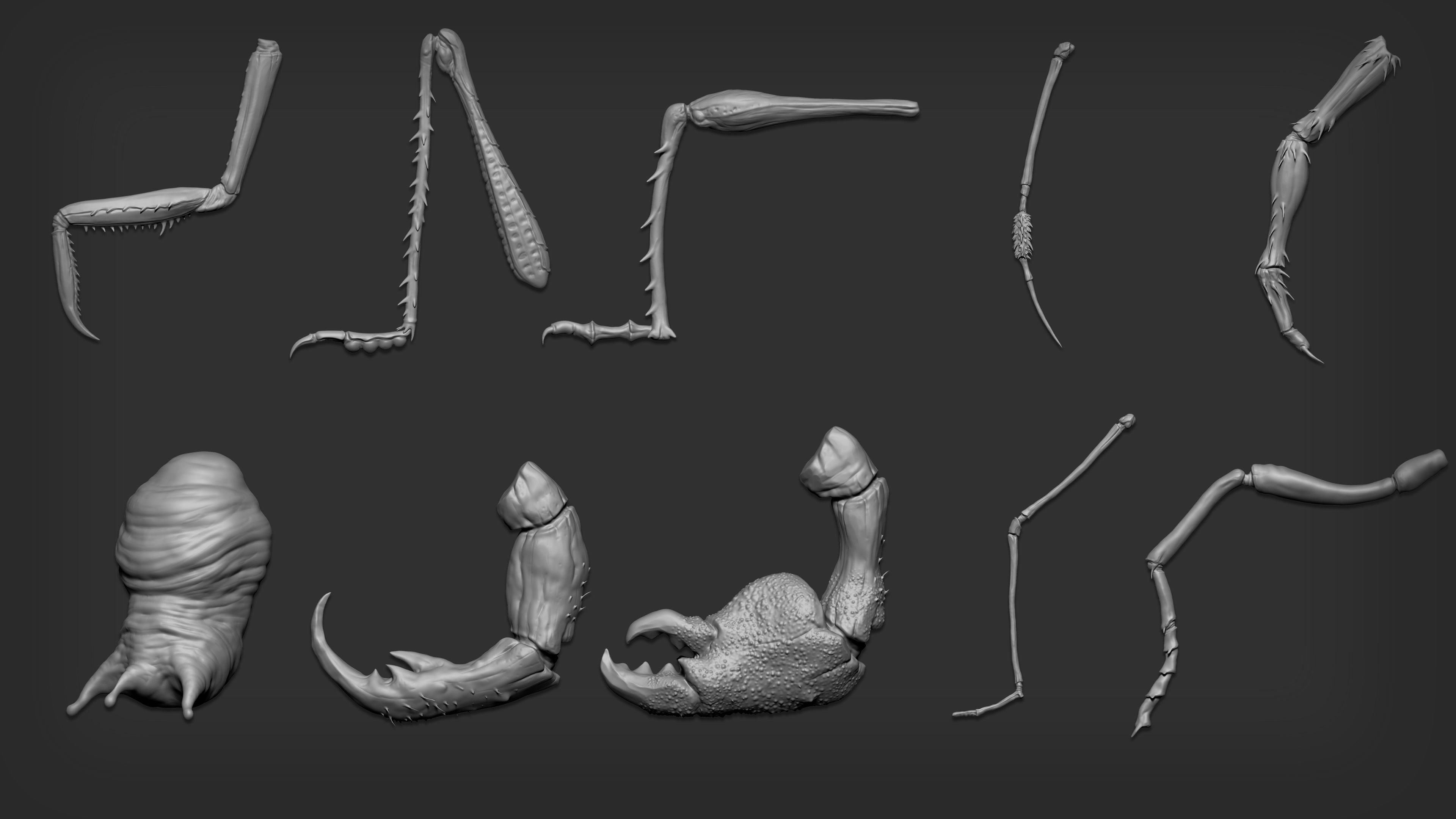 Zbrush  Blender - 80 Insectoid Creature Brush mega Pack 3D model_11