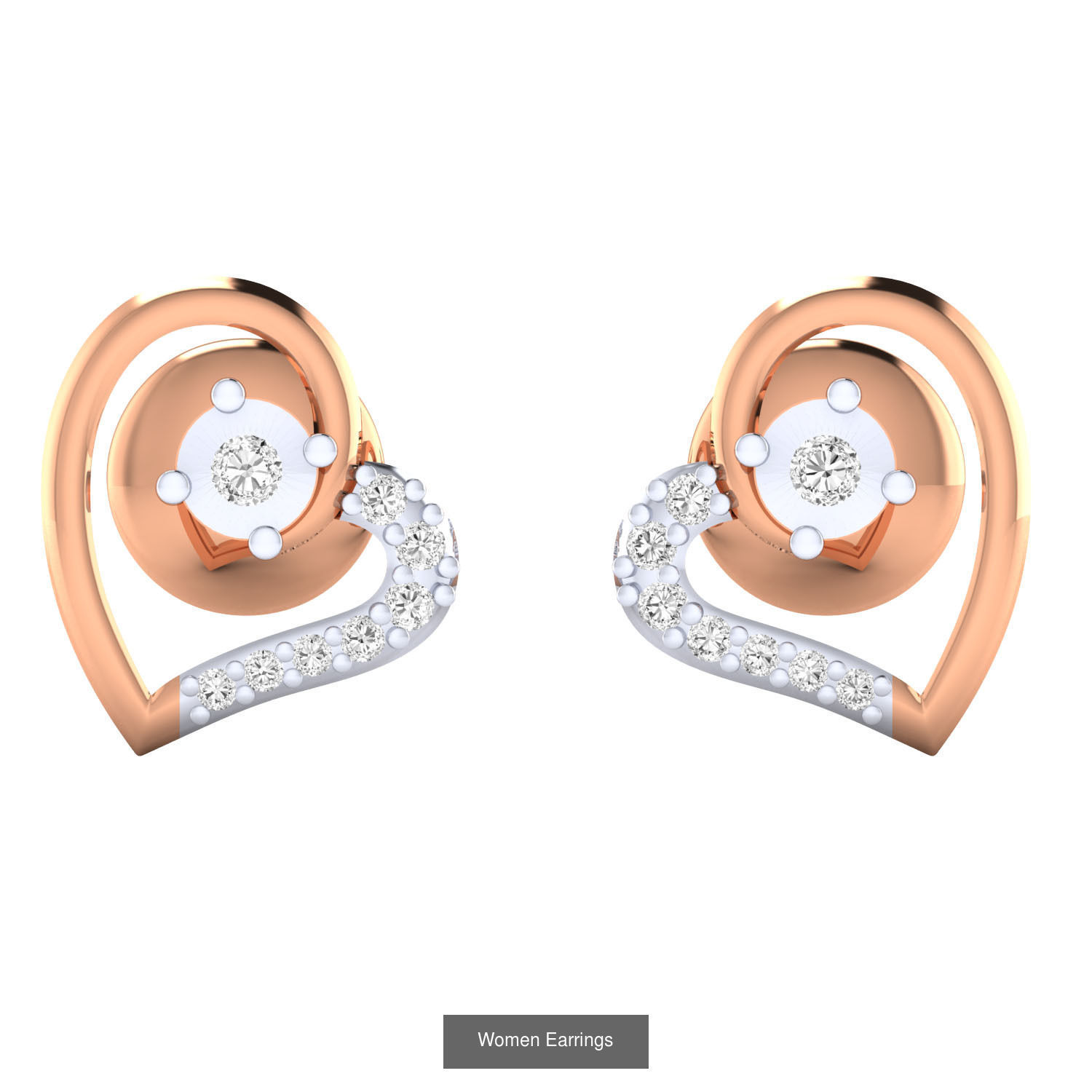103 Women Earrings  3D Model Collection_133
