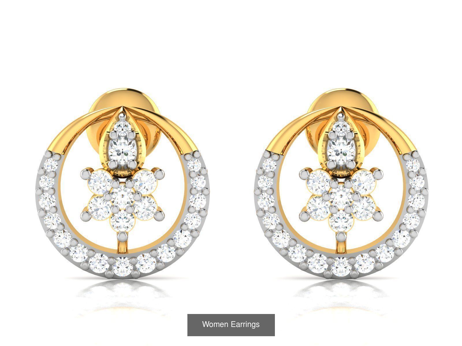 103 Women Earrings  3D Model Collection_114