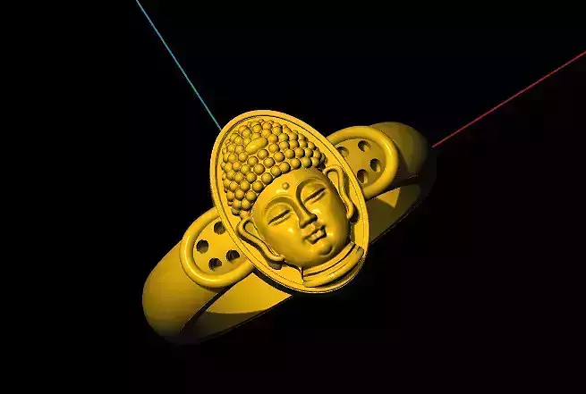 goutam budha ring rhino matrix new model  south 
