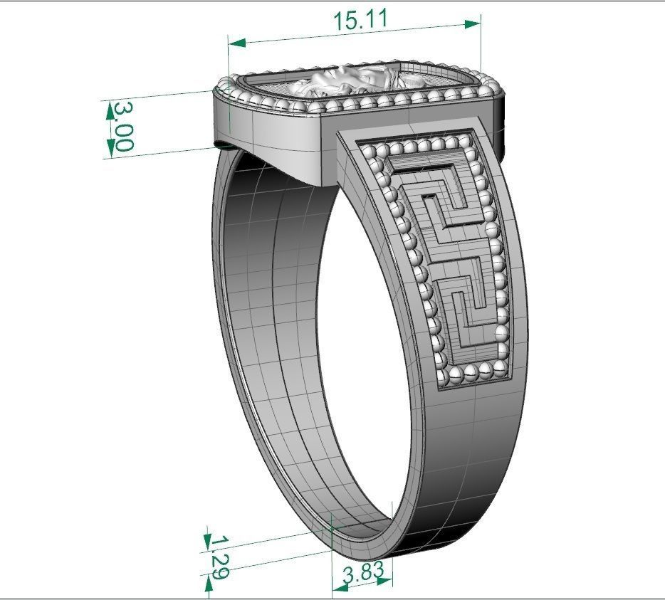 Greek ring medusa  3D print model_8