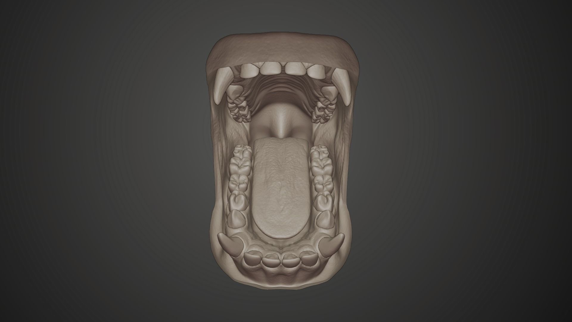 Gorilla Oral Cavity VFX Grace 3D model_9