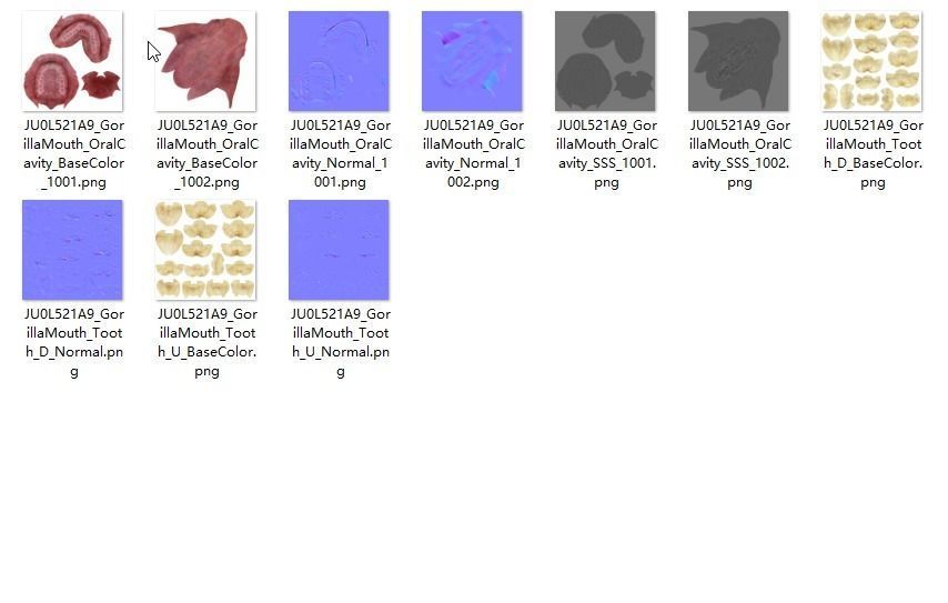 Gorilla Oral Cavity VFX Grace 3D model_17