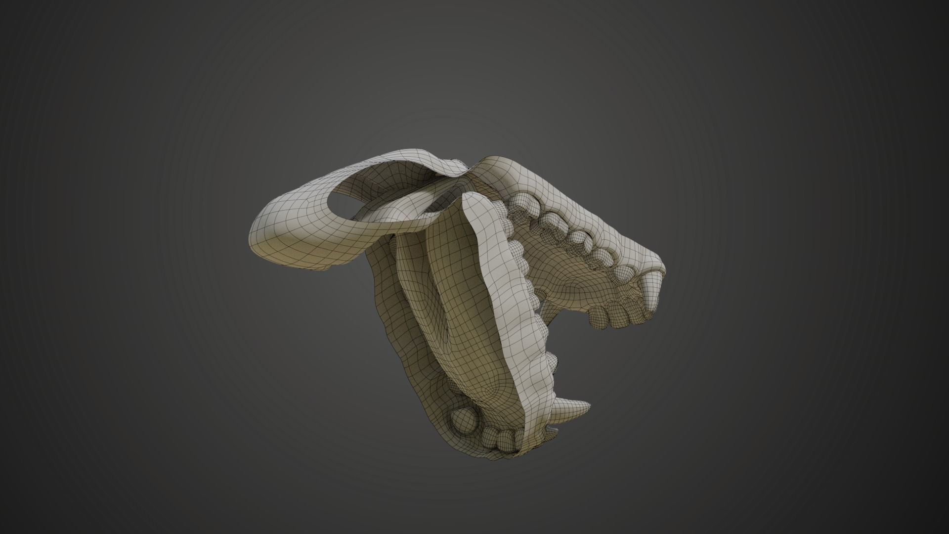 Gorilla Oral Cavity VFX Grace 3D model_12