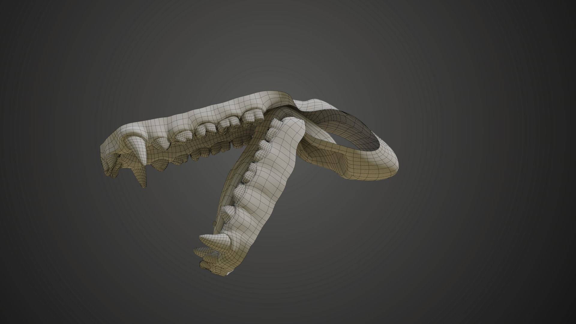 Gorilla Oral Cavity VFX Grace 3D model_13