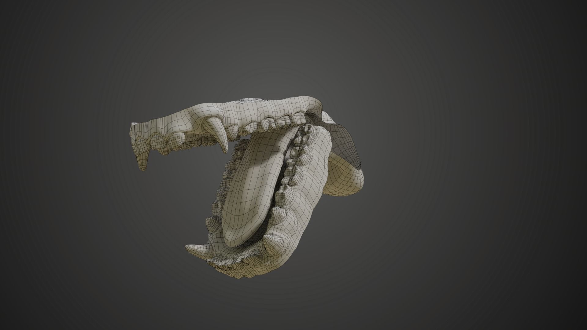 Gorilla Oral Cavity VFX Grace 3D model_11