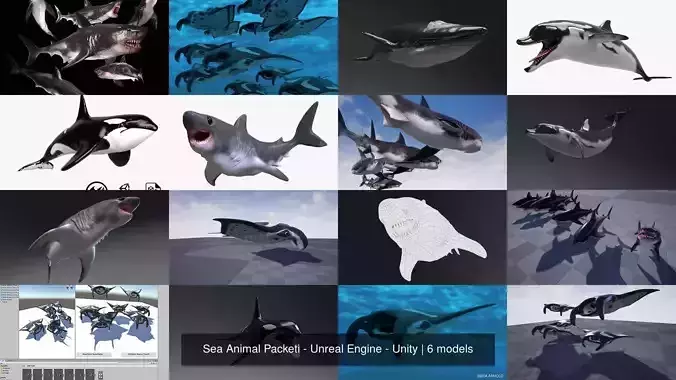 Sea Animal Pack - Unreal Engine - Unity 3D Model Collection