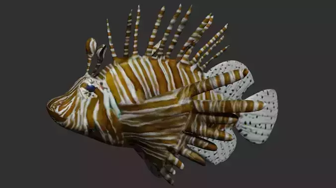 lionfish