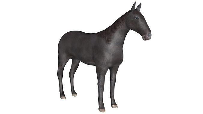 Black Horse Low-poly 3D model